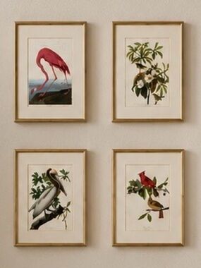 Set of 4 Framed Audubon Bird Art Prints in heavy gold metal frames